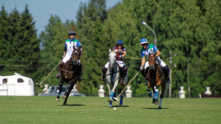 Wellington Equestrian Partners to Acquire International Polo Club and Surrounding Properties