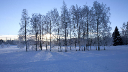 Nordic Region Rivals US and Europe for Process Excellence Adoption