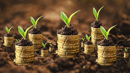 CFOs Believe the Global Economy is Improving