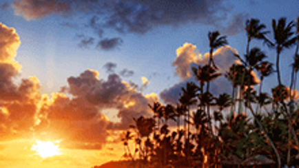 A Spotlight on Insolvency & Restructuring