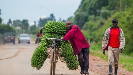 The Role of Microfinance in Uganda