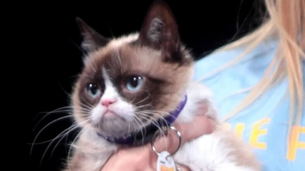 New Grumpy Marketing Campaign