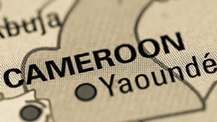 Expertise in  Mediation and Arbitration