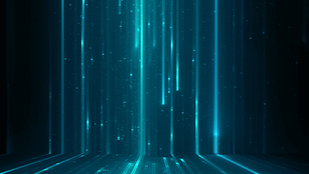 Mind the Digital Gap