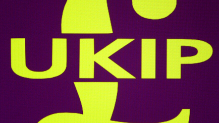 Investors Urged to Invest Overseas to Mitigate Risks Posed by UKIP Gains