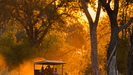 Abundant Opportunities in Botswana