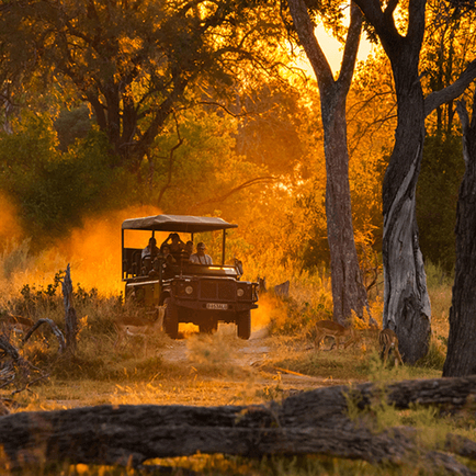 Abundant Opportunities in Botswana