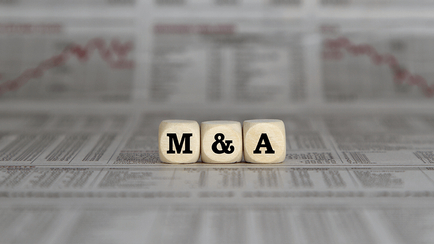Leading Drug Education Charities, Angelus and Mentor to Merge