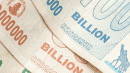 Wave Goodbye to the Zimbabwean Dollar