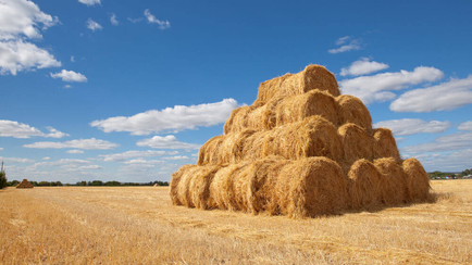 HAYSTACKID Acquisition of FLEX Discovery Transaction