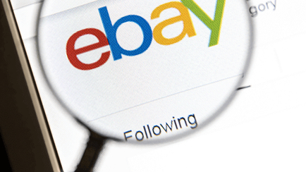 What Are the Possible Impacts of Flipkart Purchasing eBay India?