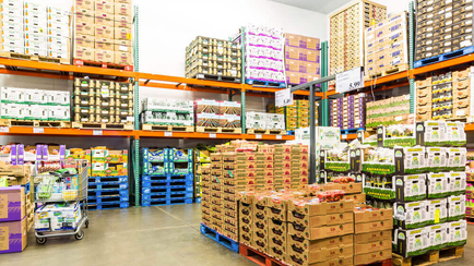 Answering All the Right Questions for Distribution Network Optimization