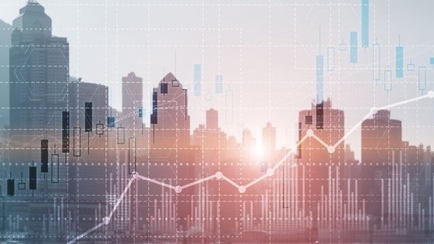 4 Key Considerations When Investing in a Brand Ambassador
