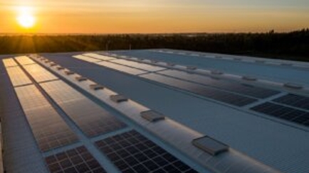 Protecting Clean Energy: The Importance of Bird-Proofing Your Company’s Solar Panels