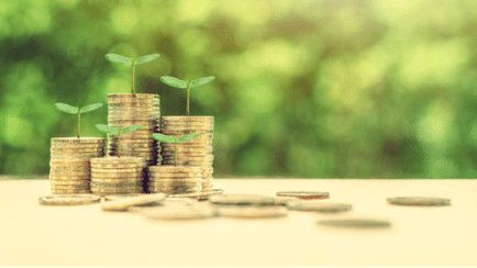 What are Collective Investment Schemes