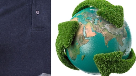 How Are Carpet Cleaning Companies Embracing The Eco-Friendly Approach