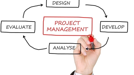 Top Reasons to Invest in PMO Software for Your Business