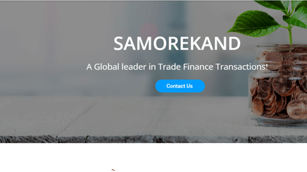 PPP Overview & New Opportunities