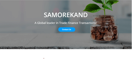 PPP Overview & New Opportunities