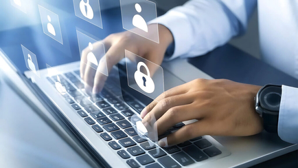 Corporate Identity Theft: Strategic Responses for Companies Facing Brand Impersonation