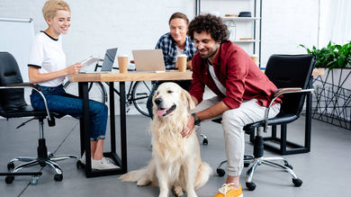 Are businesses losing out if they aren’t dog friendly? - Post Thumbnail