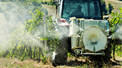 Rethink trade deals that drive industrial farming - Post Thumbnail
