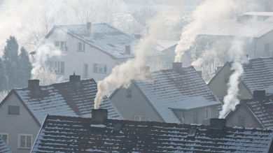 NRDC report: EU subsidies lead to forest destruction - Post Thumbnail
