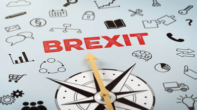 Early Brexit Chaos Just “tip of the iceberg” Says Cross-border Trade Specialist - Post Thumbnail