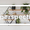 Studio Perspective - Winner Small Image