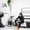 Armeanu Creative Studio - Winner Small Image