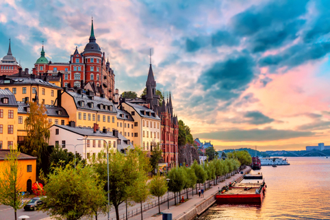 Award Image - Scandinavian Business Awards