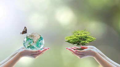 Helping Businesses Meet Their Environmental Goals With Purpose-Built Containers - Post Thumbnail