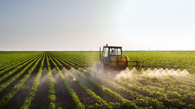 4 Ways Agriculture Can And Should Improve - Post Thumbnail