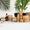 InnerZen Organics - Winner Small Image
