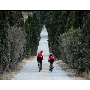 Winner Supplied Image - Terre di Casole Bike Hub