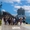 Travel cruise shore excursions - Winner Small Image