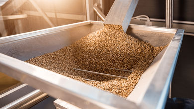 Stop At Source! The Benefits Of Early Dust Collection For The Grain Industry - Post Thumbnail