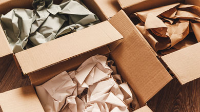 Who’s Setting the Standard for Sustainable Packaging? - Post Thumbnail