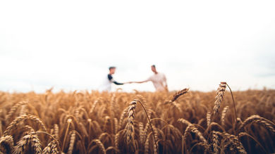 Carlsberg Group Plans Expanded Regenerative Barley Usage Across Brands in the UK, Finland, and France - Post Thumbnail