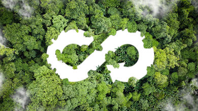 How Can Biotechnology Bring Us One Step Closer to a Circular Economy? - Post Thumbnail