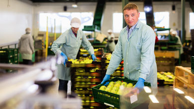 The Food Sector Must Face Its Fears Over Warehouse Automation - Post Thumbnail