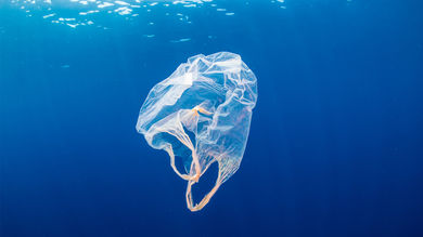 There Is a Gaping Hole In the Draft Plastic Pollution Treaty - Post Thumbnail
