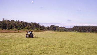 Agri-Business Management Tips for Small-Scale Farmers - Post Thumbnail