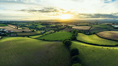 Funding and Scalability of UK Farming: The Agriculture Outlook 2025 - Post Thumbnail