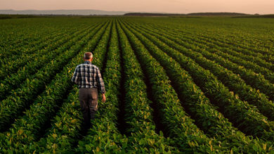 The Future of The Agricultural Industry With AI - Post Thumbnail