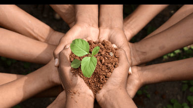 From Environmental Activism to Corporate Strategy: How Literature Changed Business - Post Thumbnail