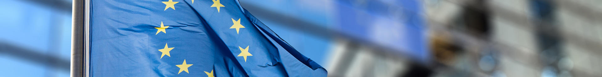 Section Background Image - EU Flag