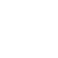 Tick Icon