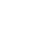 Globe Icon