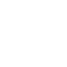 Globe Icon
